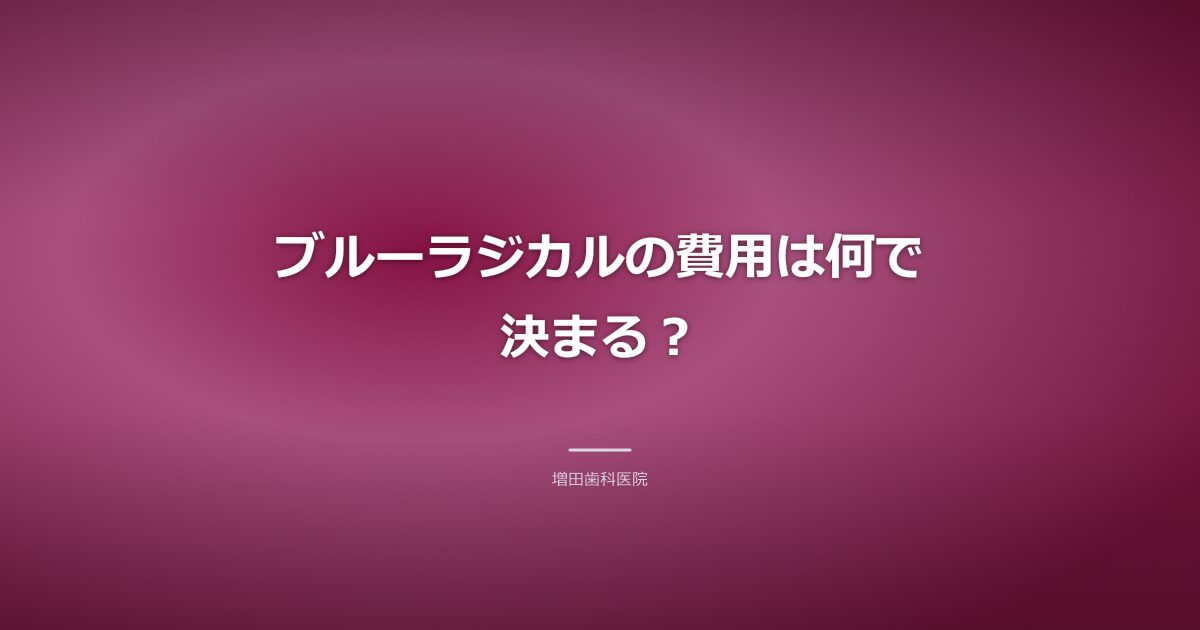 ブルーラジカルの費用の内訳のイメージ
